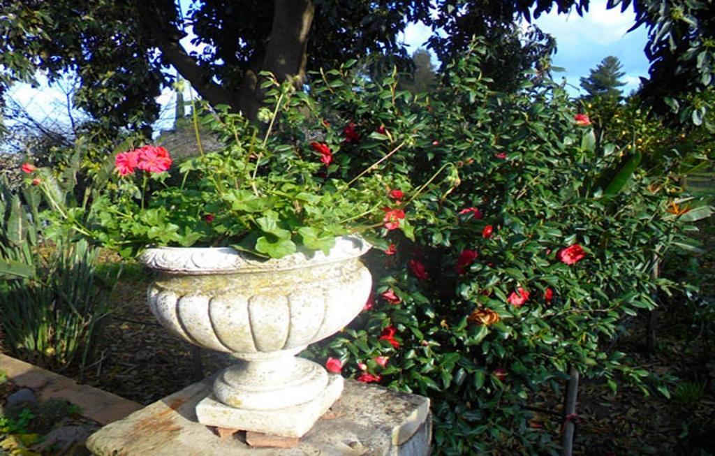 Baglio Delle Rose Bed & Breakfast Giarre Exterior foto