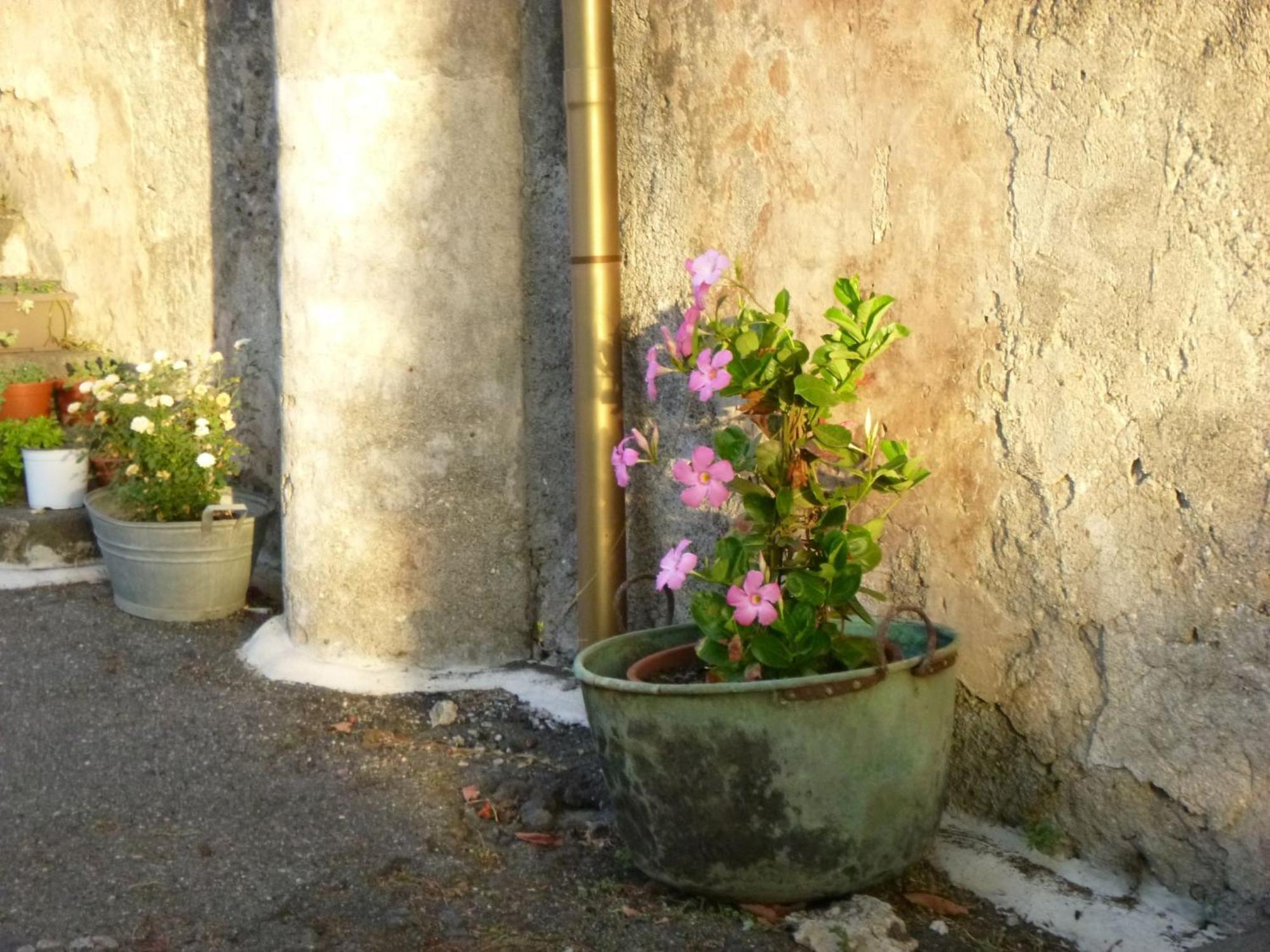 Baglio Delle Rose Bed & Breakfast Giarre Exterior foto