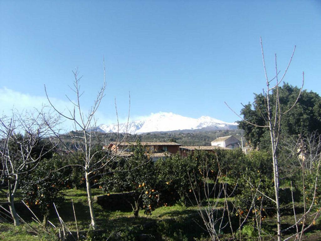 Baglio Delle Rose Bed & Breakfast Giarre Exterior foto