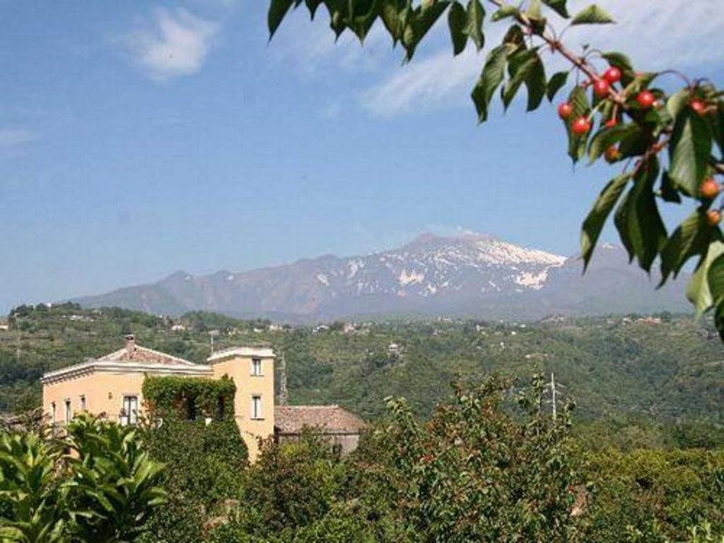 Baglio Delle Rose Bed & Breakfast Giarre Exterior foto