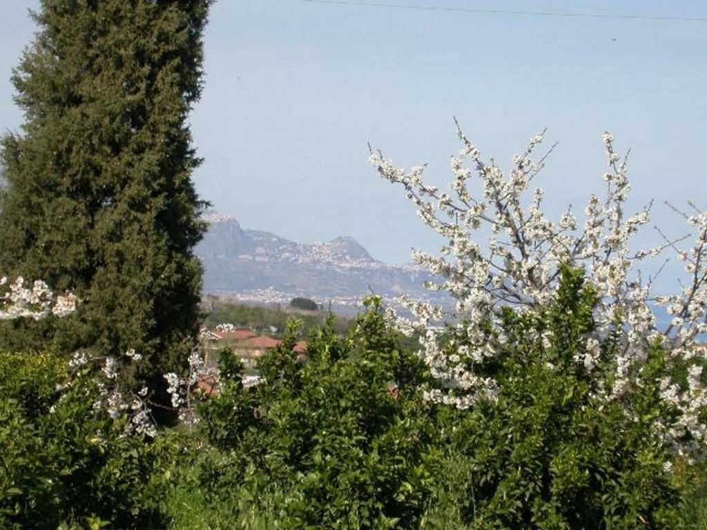 Baglio Delle Rose Bed & Breakfast Giarre Exterior foto